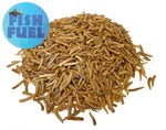 The Fish Food Warehouse Bulk Dried Maggots